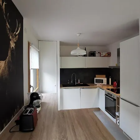 Bellevederes Apartment Messery